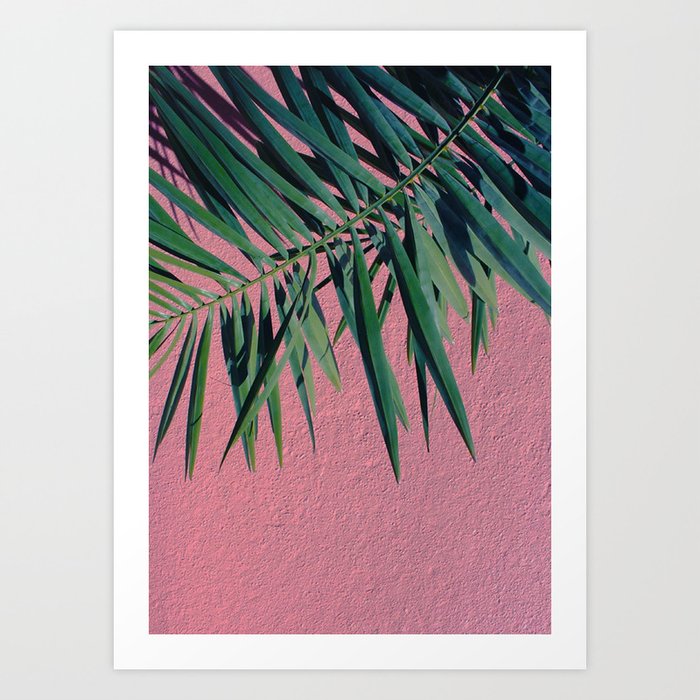 Palm Leaves Art Print by plantpedia | Society6