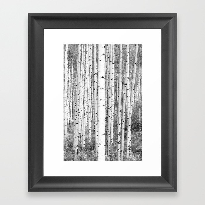 Aspen Trees in Black & White Framed Art Print by The Blonde Dutch Girl ...