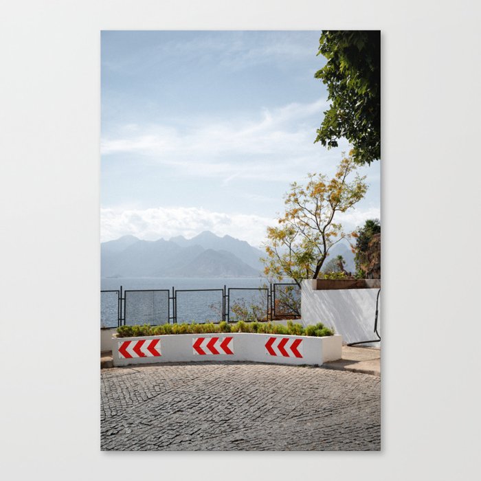Canvas Print