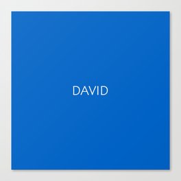 David 1 Canvas Print