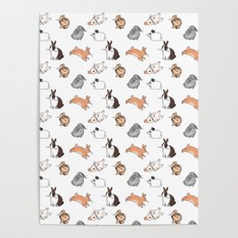 bunnies Poster