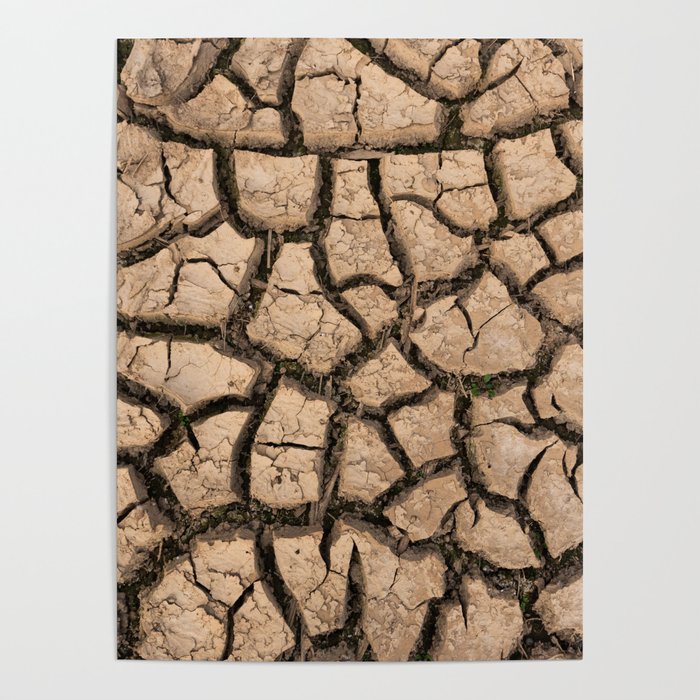 Arid soils Poster