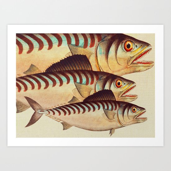 Fish Classic Designs 8 Art Print