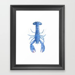 Blue Lobster Framed Art Print