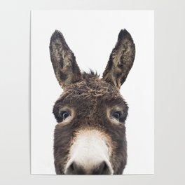 Hey Donkey Poster