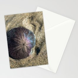 Sand Dollar on the Beach Stationery Cards