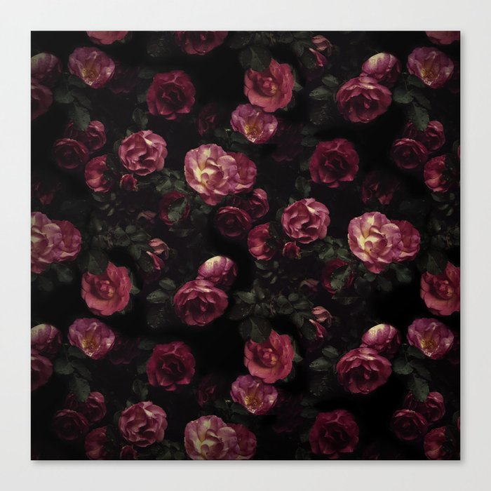 Moody Roses Canvas Print