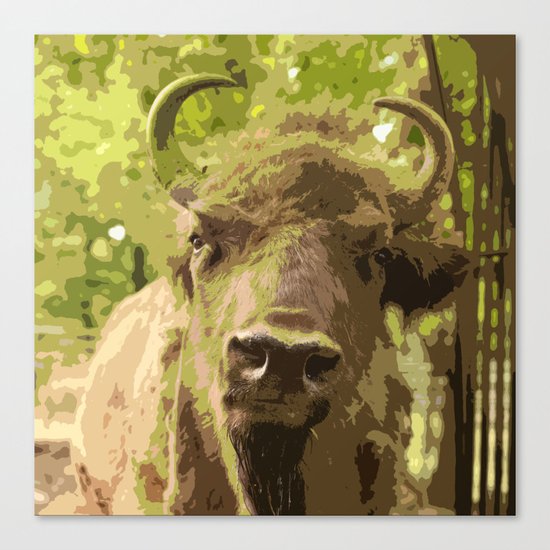 Bull Canvas Print