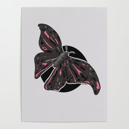 Night Moth Poster