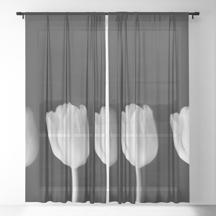 Sheer Curtain