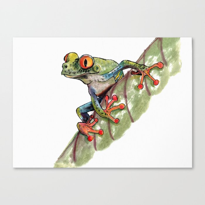 Oriental style - Frog Canvas Print