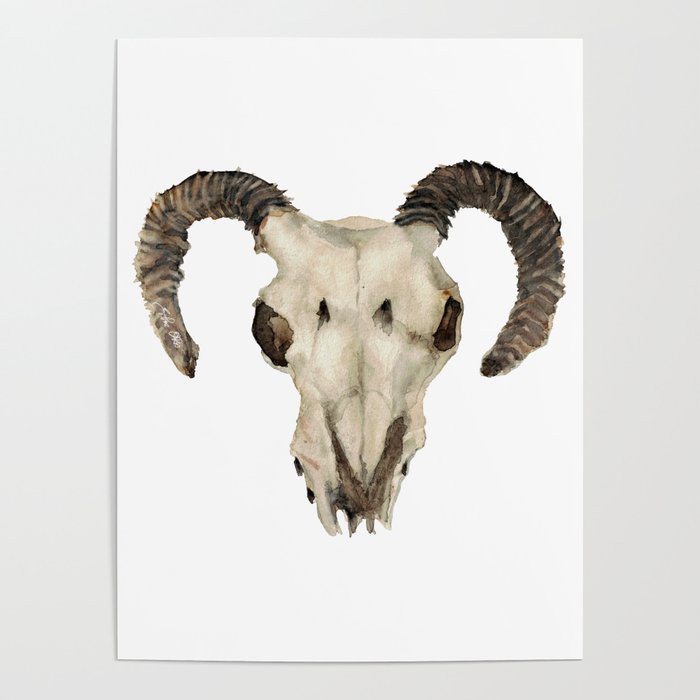 Ram Skull Poster