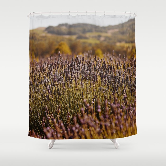 Lavender Fields IV Shower Curtain