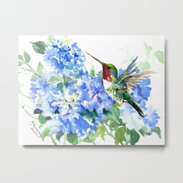 Hydrangea Flowers and Ruby Throat Hummingbird Metal Print