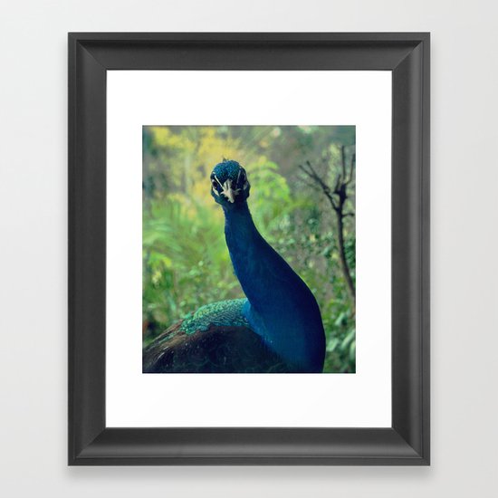 Roman Peacock Framed Art Print