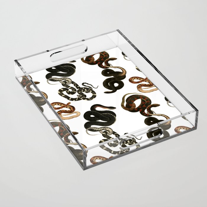 Serpent Acrylic Tray