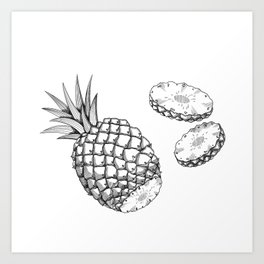 cutaway pineapple graphics sketch Art Print