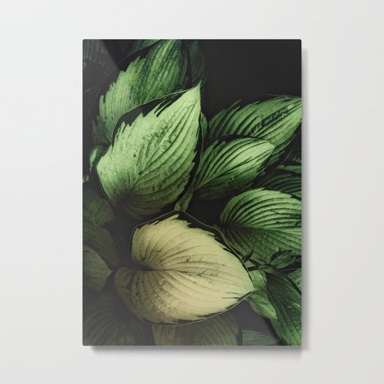 Vintage Japanese Hosta Metal Print
