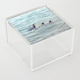 Happy Dolphin Family Acrylic Box