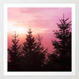 The New Romantic // Sunrise Raspberry Foggy Fairytale Forest With Trees Covered In Magic Fog Art Print