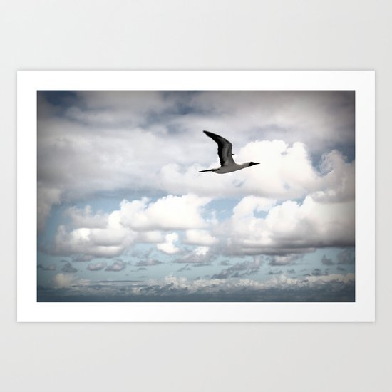 On The Fly Art Print