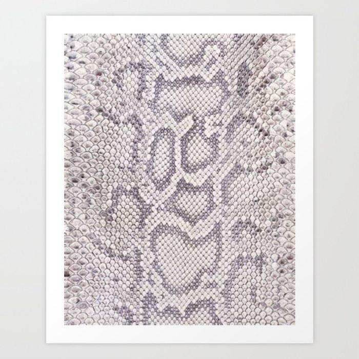 White Boa Constrictor Snake Pattern Art Print by save-sarah