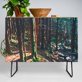 Into The Wood Credenza