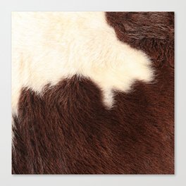 Brown and White Cow Skin Print Pattern Modern, Cowhide Faux Leather Canvas Print