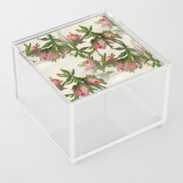 Victorian die cuts - 1903 - Roses. Treasures from the attic! Acrylic Box