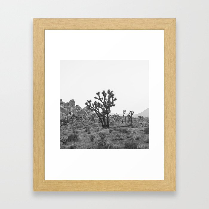 Joshua Tree B&W I Framed Art Print