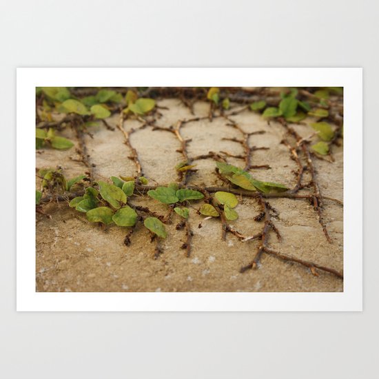 Living creatures Art Print