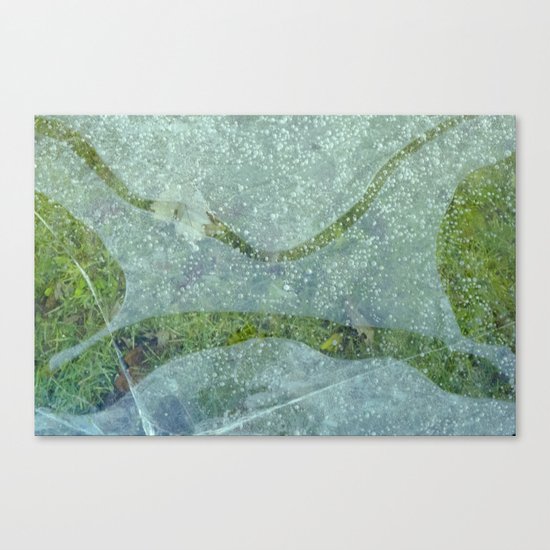 resting Canvas Print