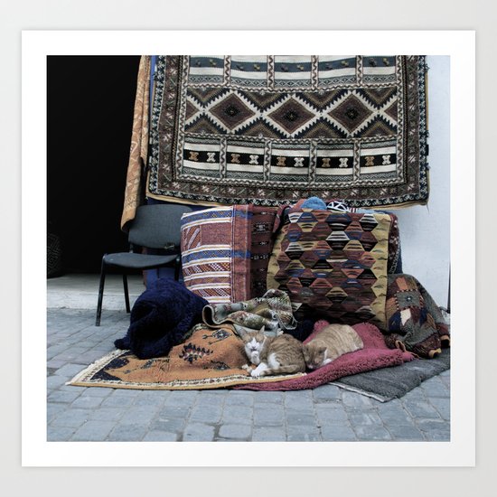 Marrakesh Cats Art Print
