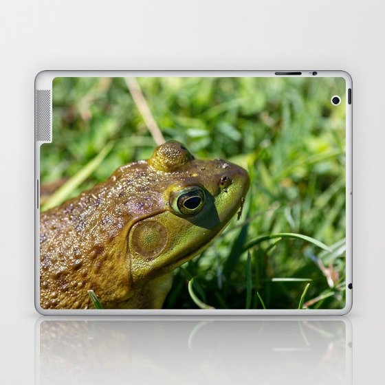 Green Frog closeup Laptop & iPad Skin