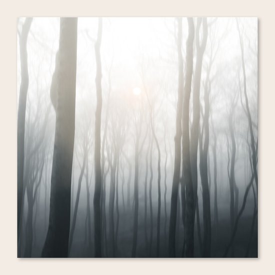 Foggy morning Canvas Print