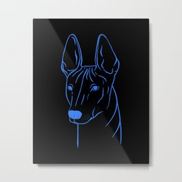 Xoloitzcuintli (Black and Blue) Metal Print