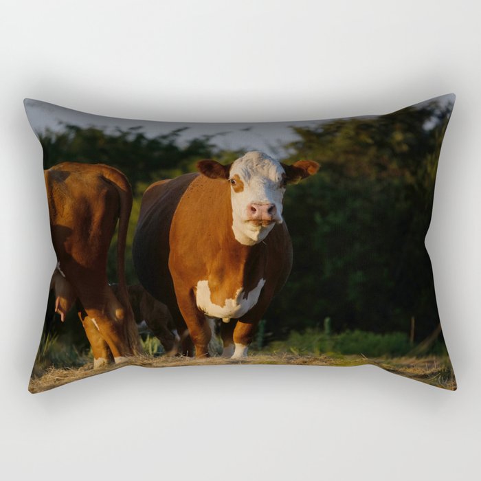 Hereford cows on Texas ranch Rectangular Pillow