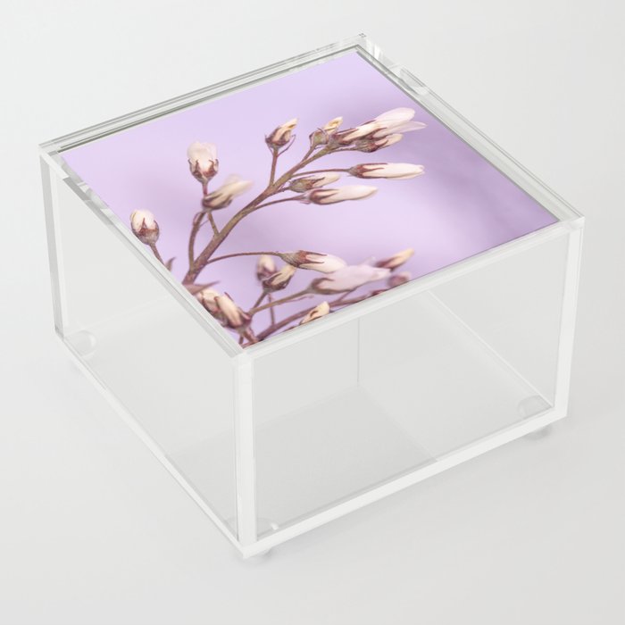 Flower blossom's Acrylic Box