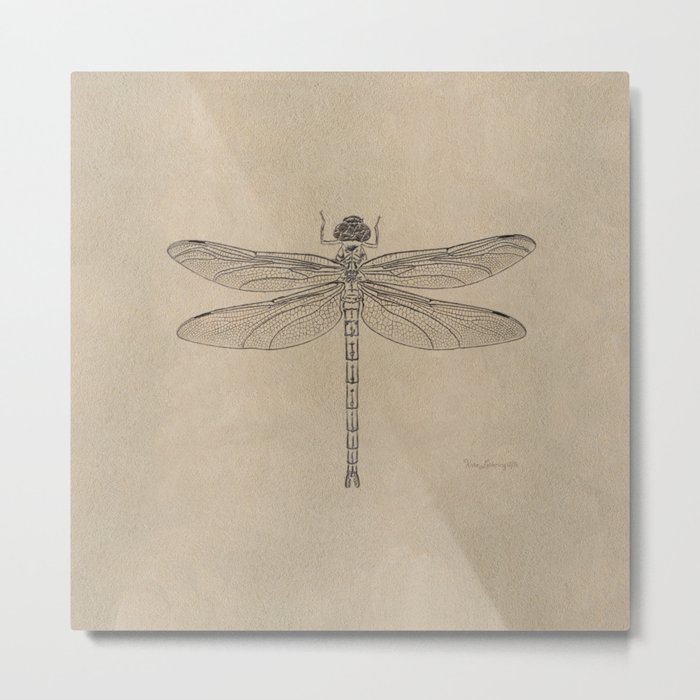 Dragonfly Fossil Dos Metal Print