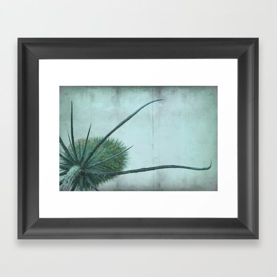 wild teasel Framed Art Print