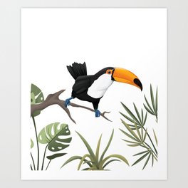 Toucan bird Art Print
