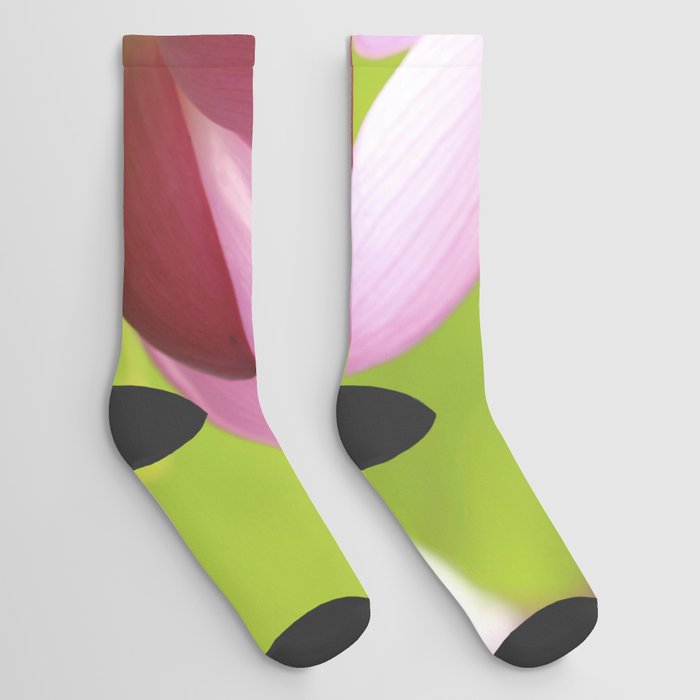 Lotus in Light Socks