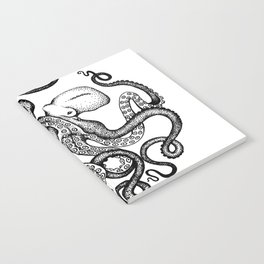 Octopus Notebook