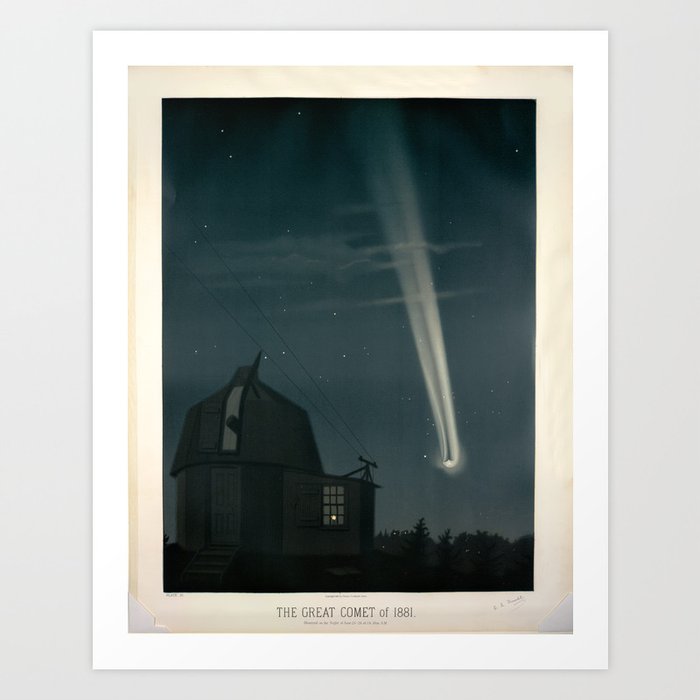 Art Print