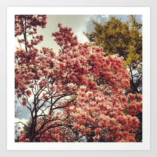 In Bloom Art Print