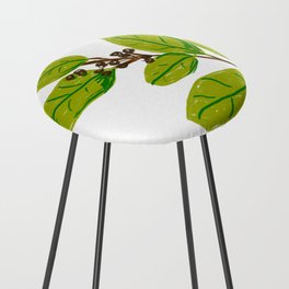 Caribbean Coffee Beans Plants Counter Stool
