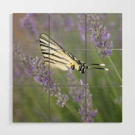 Swallowtail Sideview Amongst Lavender Spikes Photograph Wood Wall Art