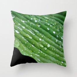 Raindrops on green leaf Throw Pillow