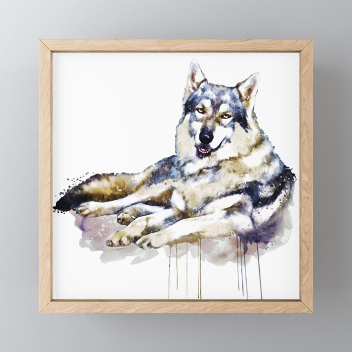 Smiling Wolf Framed Mini Art Print