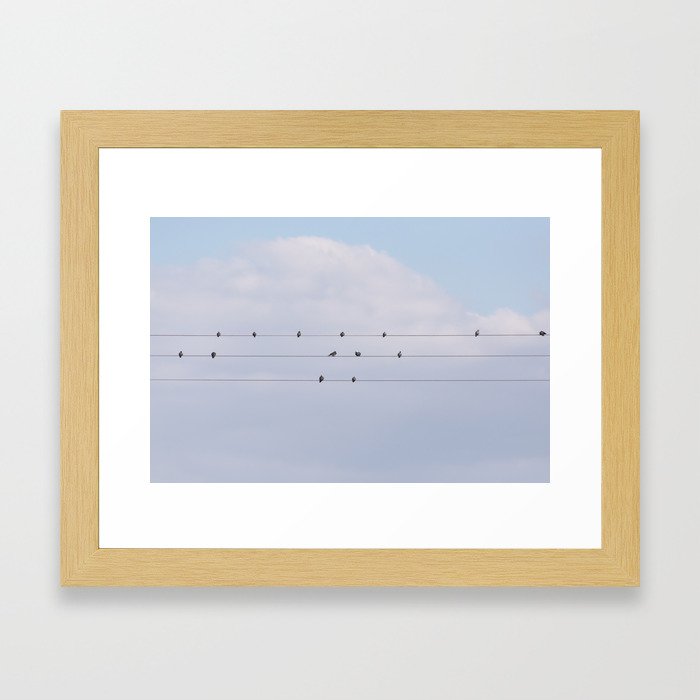 Musical Birds Framed Art Print
